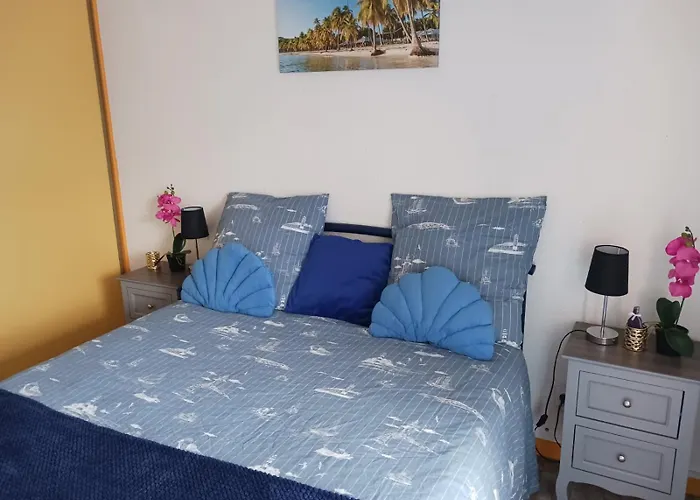 Appartement T2 Vue Mer Et Port,2 Balcons, Parking Prive