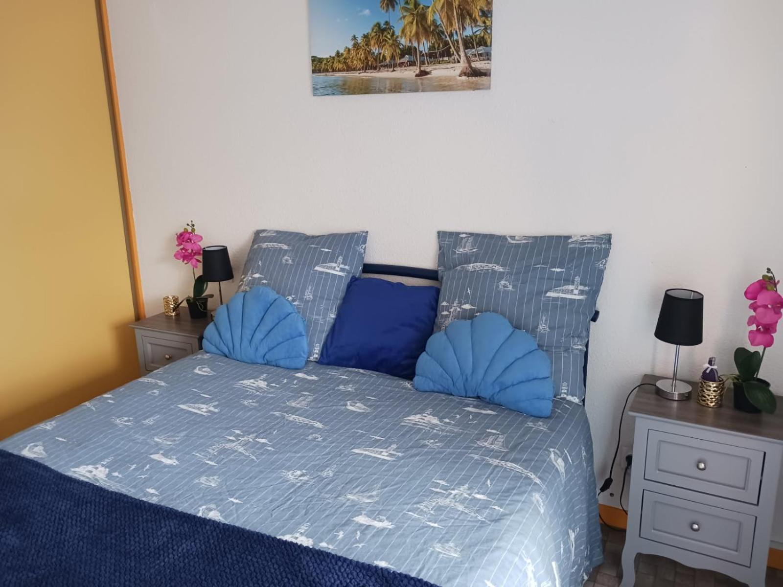 T2 Vue Et Port,2 Balcons, Parking Prive Apartment Canet-en-Roussillon